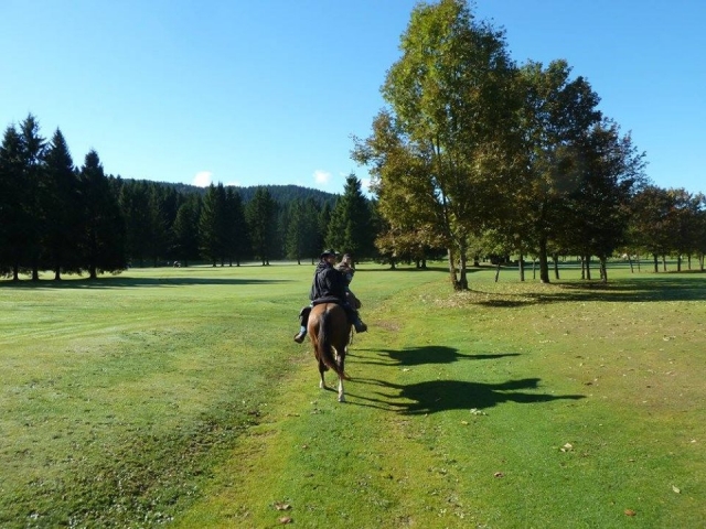 Durante la passeggiata